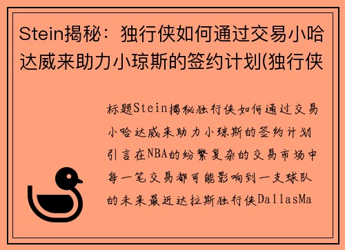 Stein揭秘：独行侠如何通过交易小哈达威来助力小琼斯的签约计划(独行侠 哈达威)