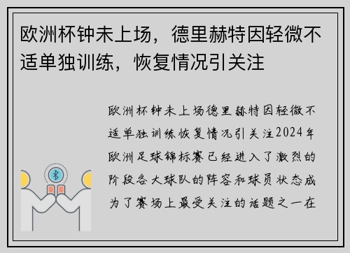 欧洲杯钟未上场，德里赫特因轻微不适单独训练，恢复情况引关注